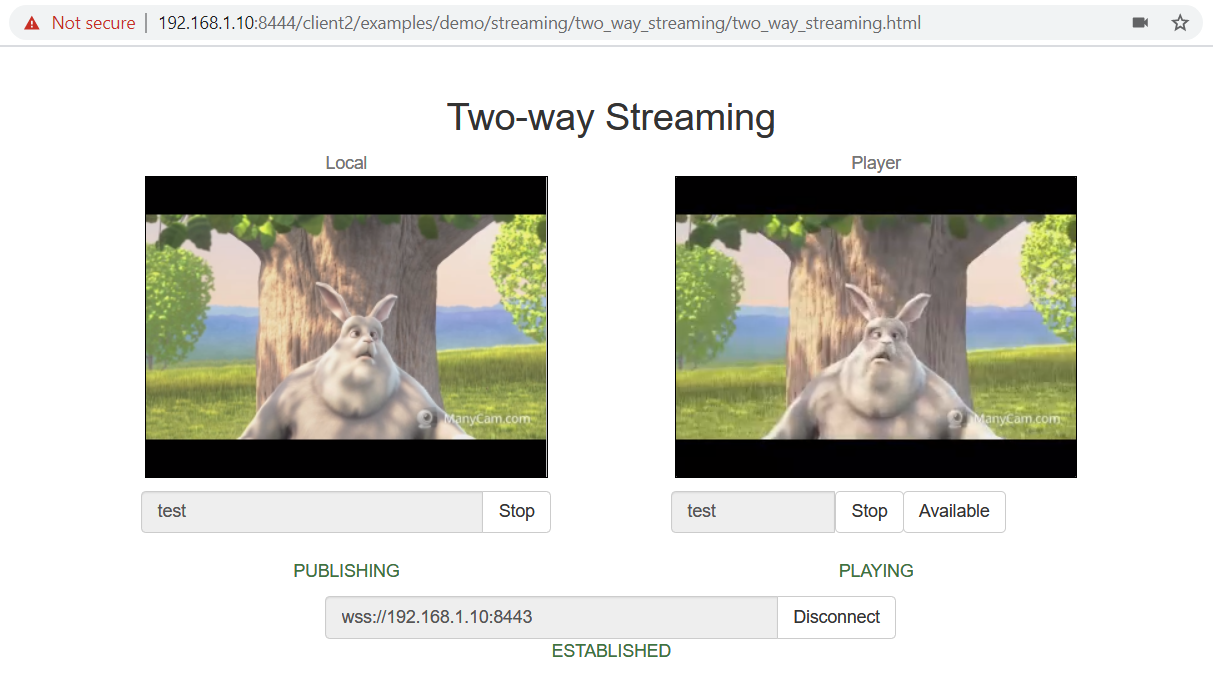 WCS in Docker WebRTC streaming test