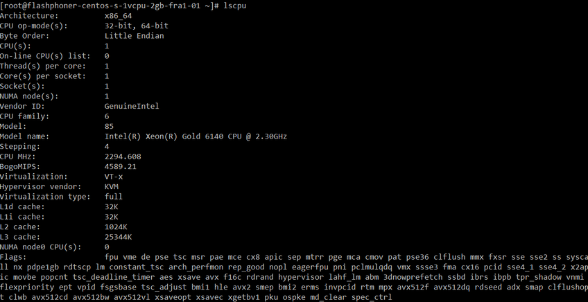 WebRTC streaming Digital Ocean lscpu output